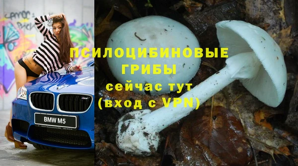 наркотики Медвежьегорск