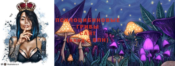 молекула духа Магас
