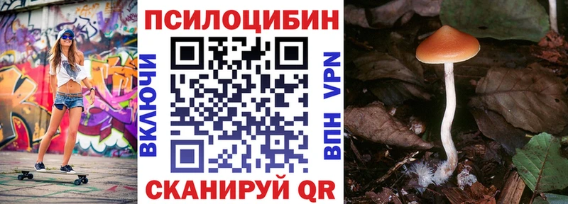 купить   Краснодар  Псилоцибиновые грибы MAGIC MUSHROOMS 